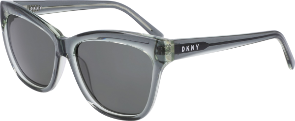 DKNY DK543S Online Hot Sale