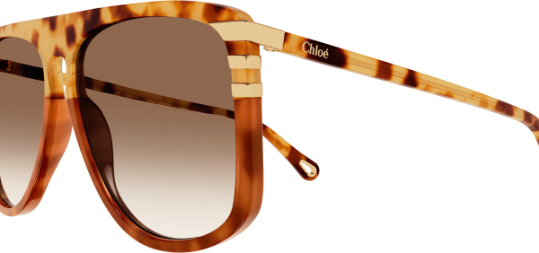 Chloe CH0104S Hot on Sale